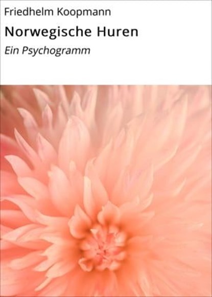 Norwegische Huren, Friedhelm Koopmann - Ebook - 9783738044188
