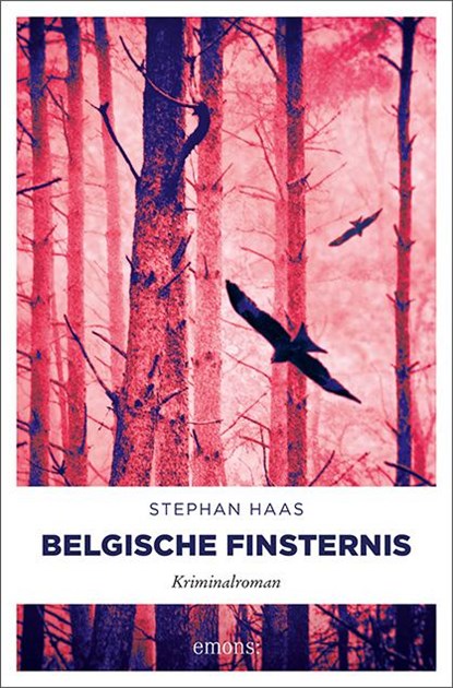 Belgische Finsternis, Stephan Haas - Paperback - 9783740809126