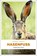 Hasenfuß, Thomas Hesse ; Renate Wirth - Paperback - 9783740815042