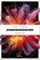 Sonnwendmord, Fanny Svoboda - Paperback - 9783740822248