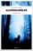 Altmühlwölfe, Richard Auer - Paperback - 9783740823801