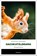 Oachkatzldrama, Marion Wagner - Paperback - 9783740828233