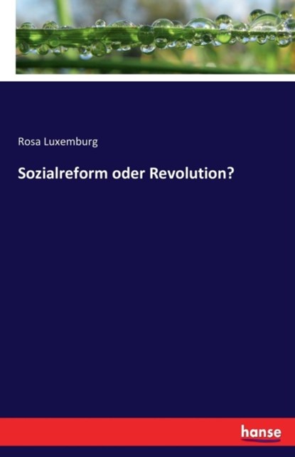 Sozialreform oder Revolution?, Rosa Luxemburg - Paperback - 9783741160639