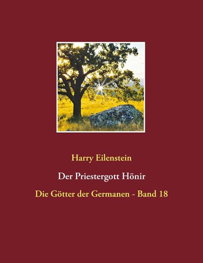 Der Priestergott Honir, Harry Eilenstein - Paperback - 9783741284335