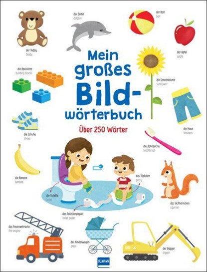 Mein großes Bildwörterbuch, niet bekend - Gebonden - 9783741526244