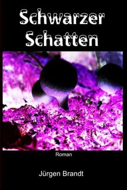 Schwarzer Schatten, Jürgen Brandt - Ebook - 9783741811821