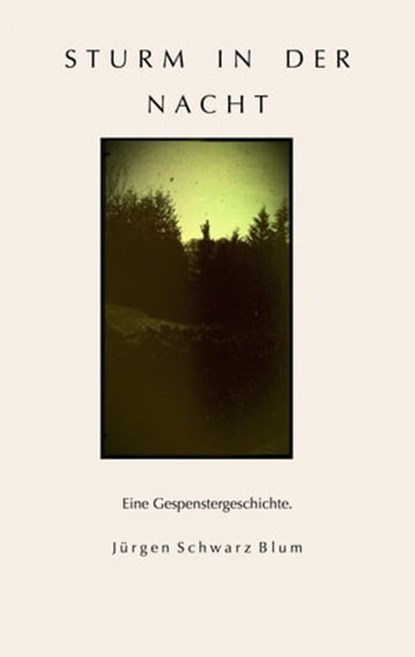 Sturm in der Nacht, Jürgen Schwarz Blum - Ebook - 9783741845888