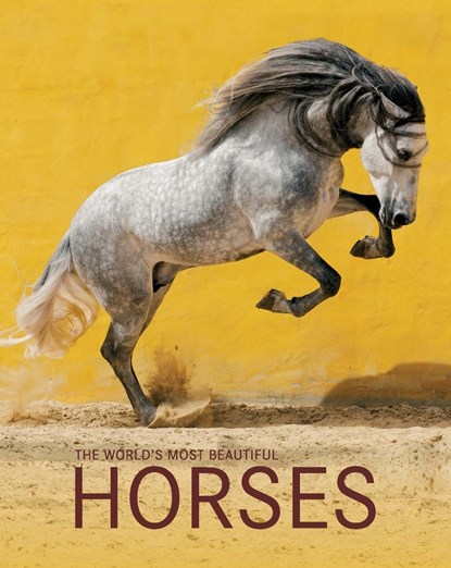 Boiselle: World's Most Beautiful Horses/schönsten Pferde, Gabriele Boiselle - Gebonden - 9783741920769
