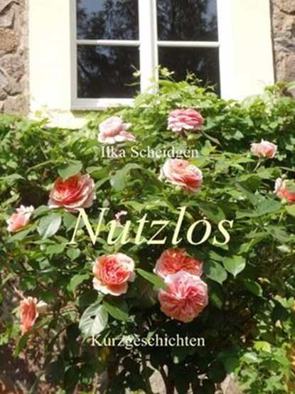 Nutzlos, Ilka Scheidgen - Ebook - 9783745001105