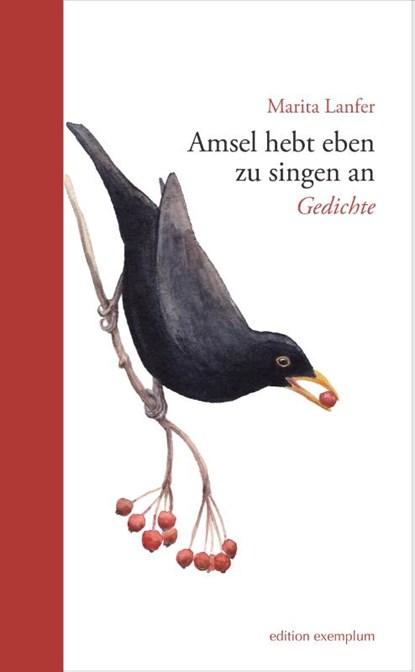 Amsel hebt eben zu singen an, Marita Lanfer - Paperback - 9783745511536