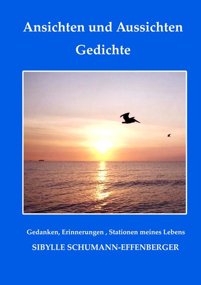 Ansichten und Aussichten, Sibylle Schumann-Effenberger - Gebonden - 9783746081144