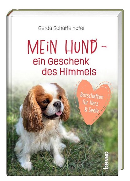 Mein Hund - ein Geschenk des Himmels, Gerda Schaffelhofer - Gebonden - 9783746265957