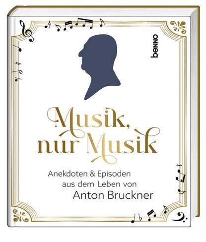 Musik, nur Musik, Hermann Multhaupt - Gebonden - 9783746265971