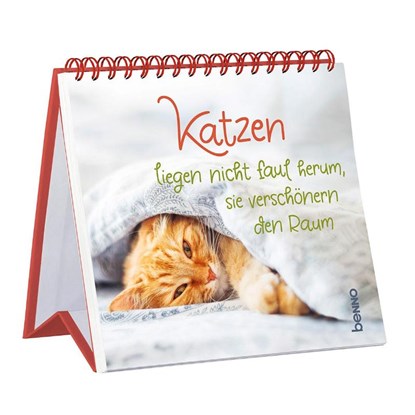 Katzen liegen nicht faul herum, sie verschönern den Raum, niet bekend - Paperback - 9783746268491