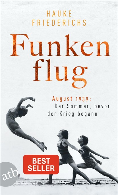 Funkenflug, Hauke Friederichs - Paperback - 9783746638034