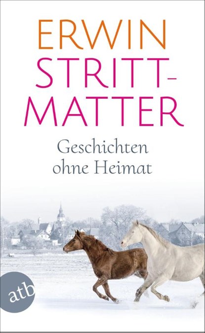 Geschichten ohne Heimat, Erwin Strittmatter - Paperback - 9783746643465