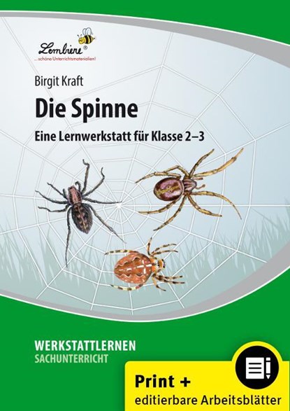 Die Spinne, Birgit Kraft - Losbladig - 9783746805757