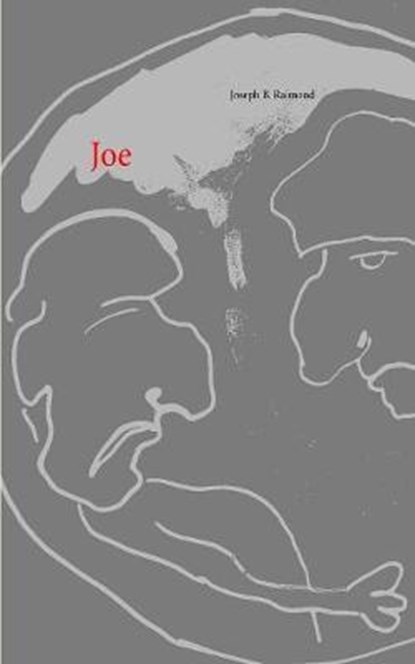 Joe, RAIMOND,  Joseph B - Paperback - 9783748158608