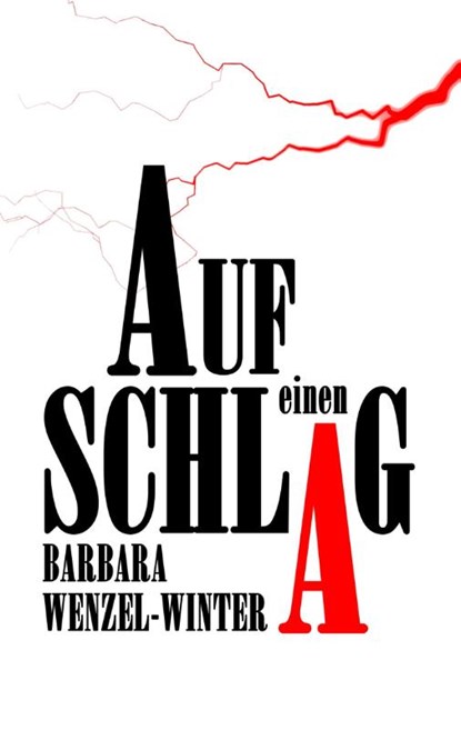 Auf einen Schlag, Barbara Wenzel-Winter - Paperback - 9783748167563
