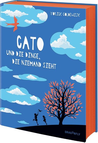 Cato und die Dinge, die niemand sieht, Yorick Goldewijk - Gebonden - 9783748802600