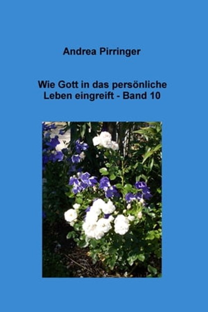 Wie Gott in das persönliche Leben eingreift - Band 10, Andrea Pirringer - Ebook - 9783750223158