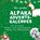 Der grosse Alpaka-Adventskalender, Bibi Hübsch - Paperback - 9783750526259
