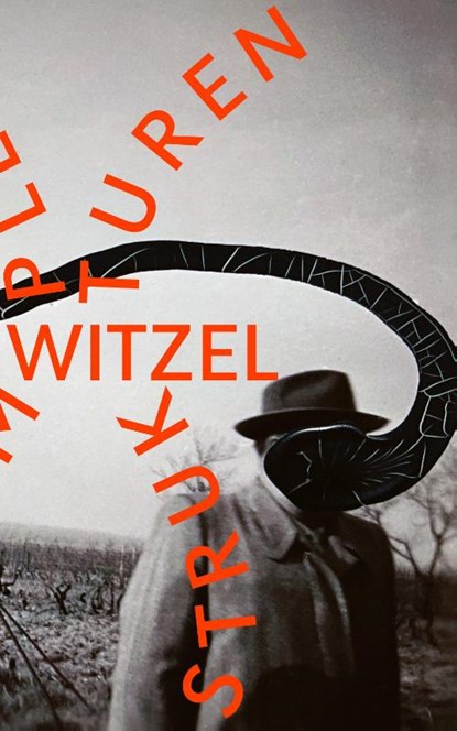 Komplexe Strukturen, Frank Witzel - Gebonden - 9783751810333