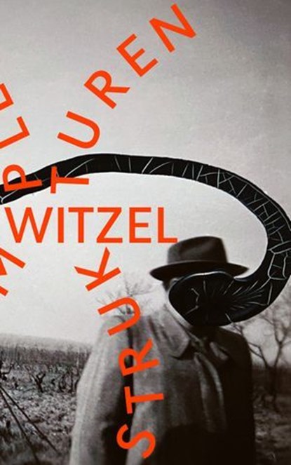 Komplexe Strukturen, Frank Witzel - Ebook - 9783751810340