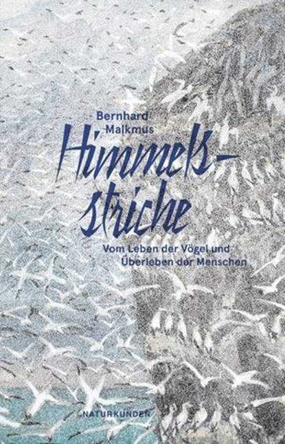 Himmelsstriche, Bernhard Malkmus - Ebook - 9783751840262