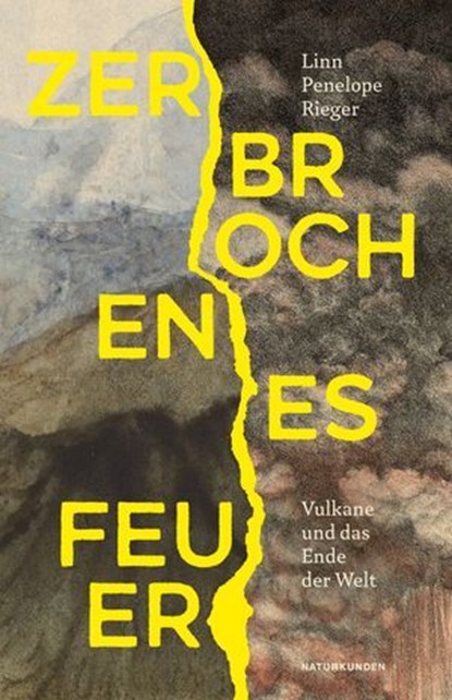 Zerbrochenes Feuer, Linn Penelope Rieger - Ebook - 9783751840354