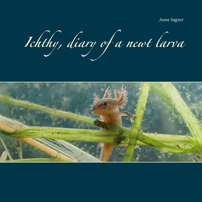 Ichthy, diary of a newt larva, Anne Sagner - Paperback - 9783751985314