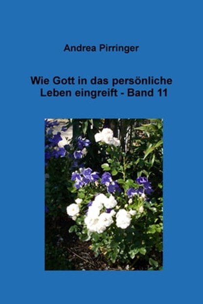 Wie Gott in das persönliche Leben eingreift - Band 11, Andrea Pirringer - Ebook - 9783752929508