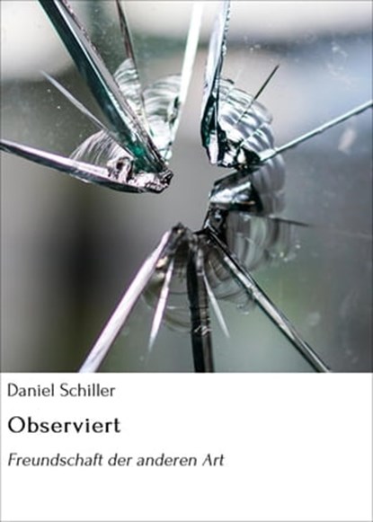 Observiert, Daniel Schiller - Ebook - 9783753192826