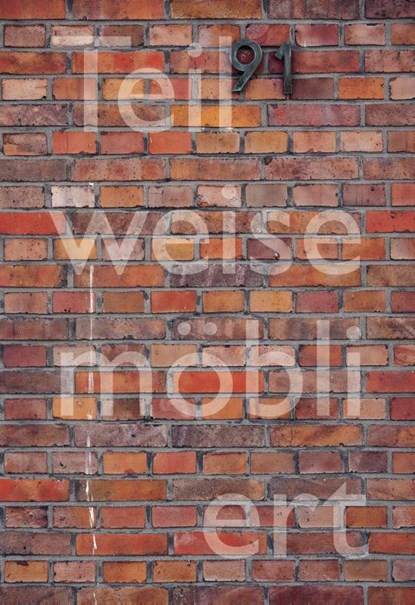 Teilweise möbliert, exzellente Aussicht. Ortsspezifische Kunst für Haus Lange, Sylvia Martin - Paperback - 9783753308234