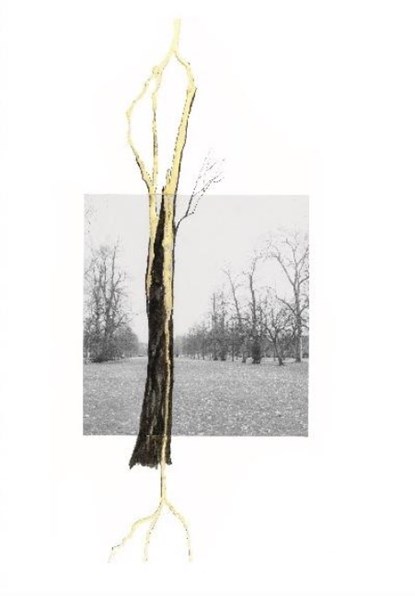 Giuseppe Penone. Thoughts in the Roots, Claude Adjil ; Alexa Chow - Gebonden - 9783753308821