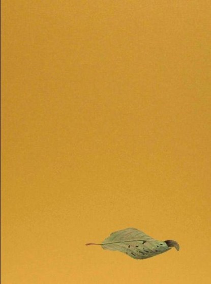Yoshihiro Suda. Garden Eden, Michael Hering - Gebonden - 9783753309811