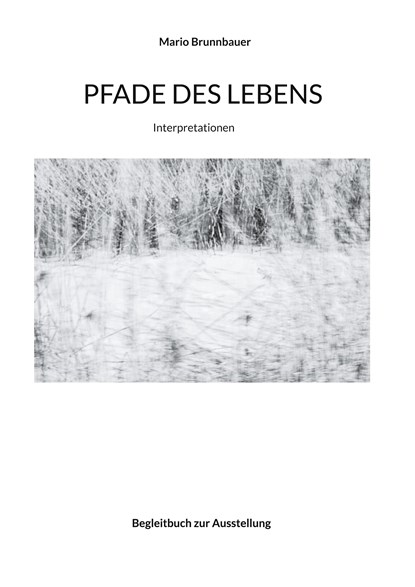 Pfade des Lebens, Mario Brunnbauer - Gebonden - 9783754326565
