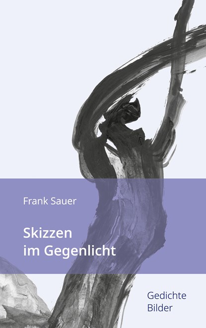 Skizzen im Gegenlicht, Frank Sauer - Gebonden - 9783754334164