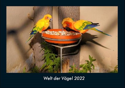 Welt der Vögel 2022 Fotokalender DIN A4, Tobias Becker - Paperback - 9783755906575