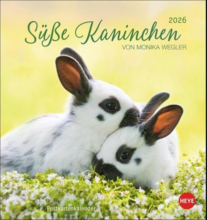 Süße Kaninchen Postkartenkalender 2026, niet bekend - Paperback - 9783756410033