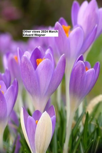 Other views 2024 March, Eduard Wagner - Ebook - 9783756575367