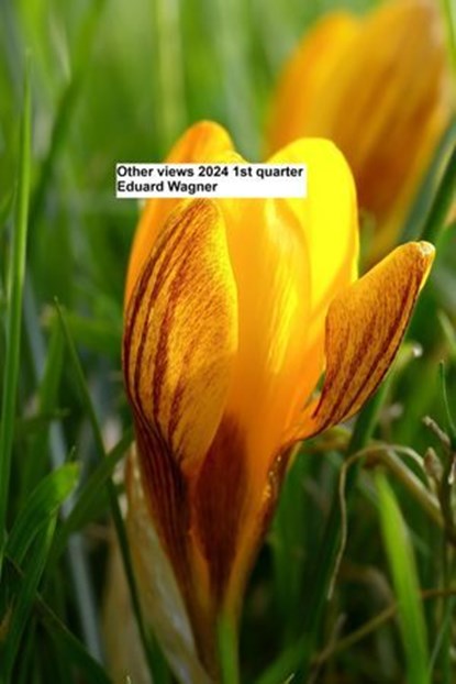 Different views 1st quarter 2024, Eduard Wagner - Ebook - 9783756575749