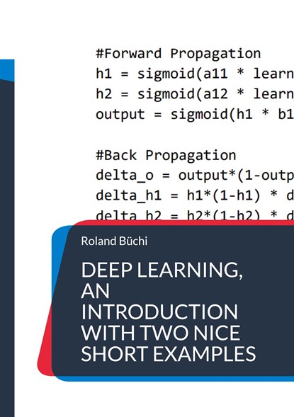 Deep Learning, an introduction with two nice short examples, Roland Büchi - Paperback - 9783756832637