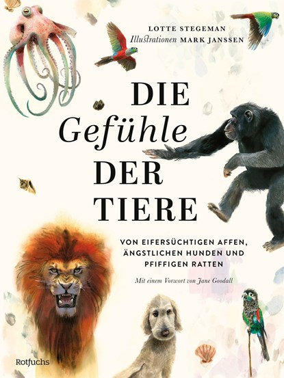 Die Gefühle der Tiere: Von eifersüchtigen Affen, ängstlichen Hunden und pfiffigen Ratten, Lotte Stegeman - Gebonden - 9783757100063