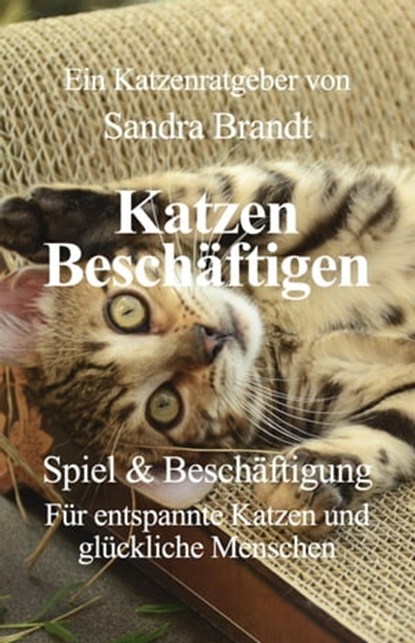 Katzen Beschäftigen, Sandra Brandt - Ebook - 9783757526412