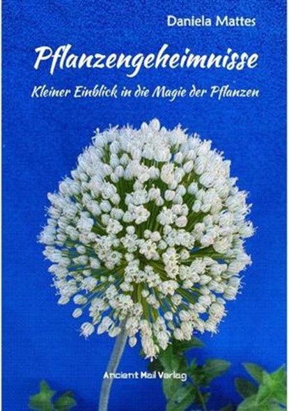 Pflanzengeheimnisse, Daniela Mattes - Ebook - 9783758475962