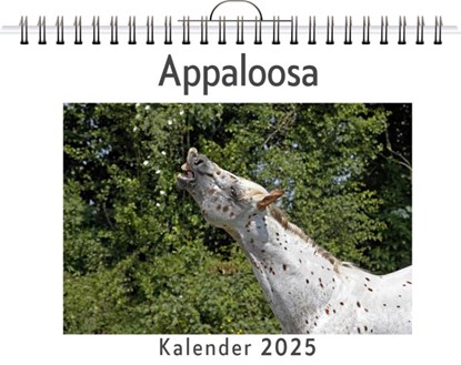 Appaloosa, Paul Scholz - Paperback - 9783759132291