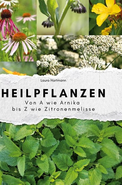 Heilpflanzen, Laura Hartmann - Gebonden - 9783759139900