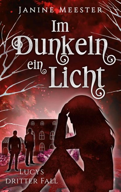 Im Dunkeln ein Licht, Janine Meester - Paperback - 9783759784308