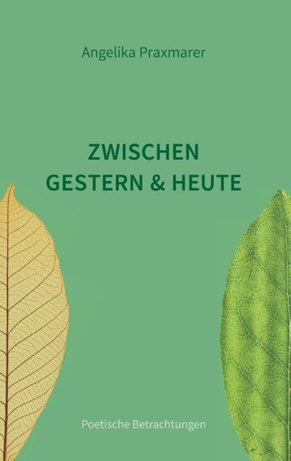 Zwischen Gestern und Heute, Angelika Praxmarer - Gebonden - 9783759799838